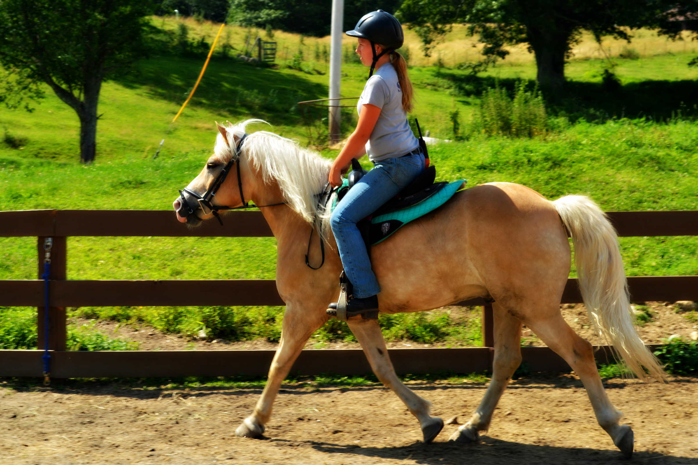 Horseback Riding – Farm Ride