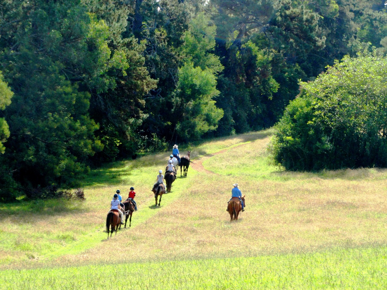 Horseback Riding – Farm Ride